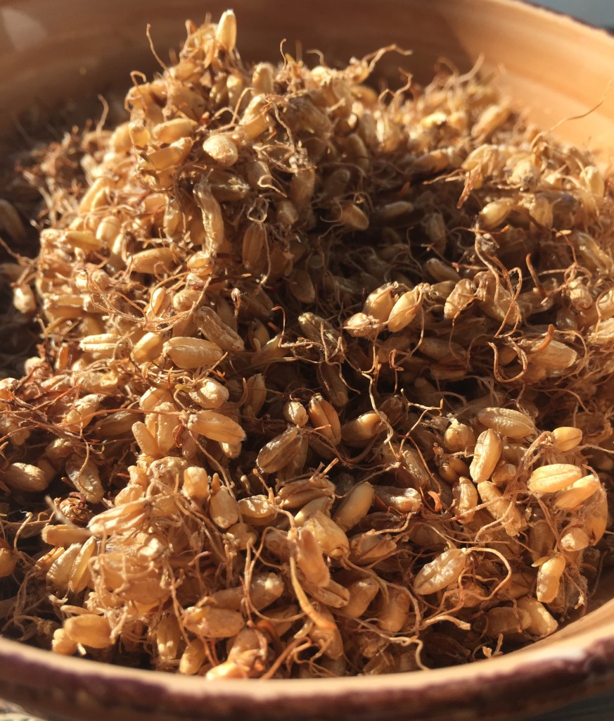 Ancient Recipe: Egyptian Beer (Egypt, ca. 5000 BCE) | Pass The Flamingo ...